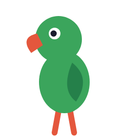 Tota the parrot